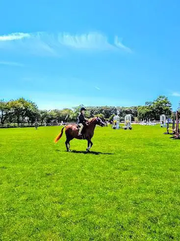 Photo de BSJA Jersey