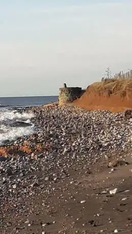 Resti Di Bunker Della Guerra