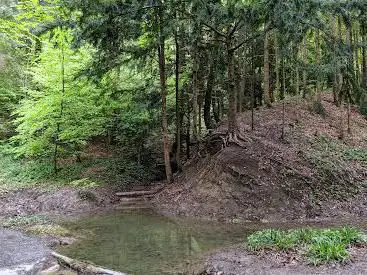 Teich Döltschibach
