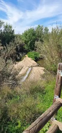 Photo de Azud del molino