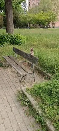 Giardini degli scoiattoli