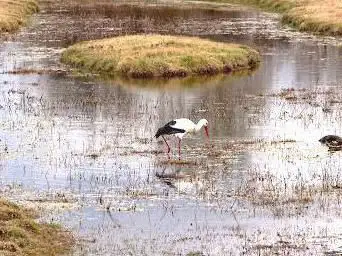 Photo de Estany del Cortalet