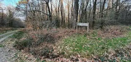 Forêt de Loudéac - Croisée de