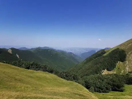 Foresta del Teso