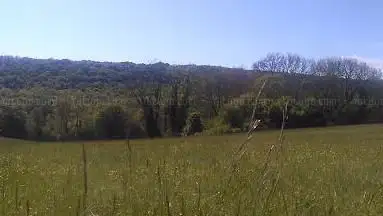 Fourmilières du Bois de Champ de LARRAN