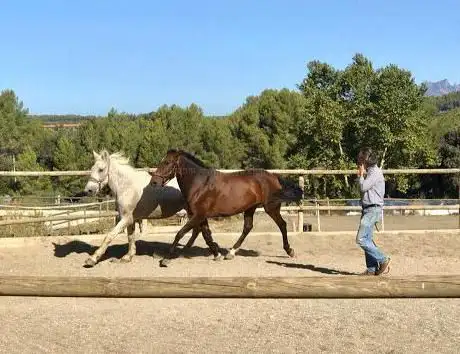 Photo de Club HÃpic Cavall Esport i Natura