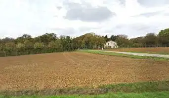 haudronville Forest
