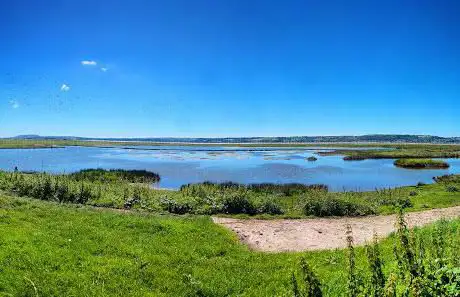 WWT Llanelli Wetland Centre
