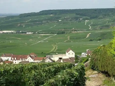 Photo de A l'Allure Champenoise