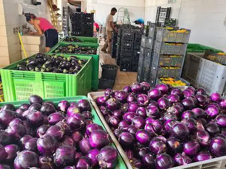 Ajòfruit - Az Agricola Pani Aldo