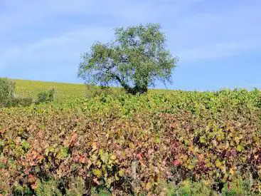 Photo de Butte de la Roche