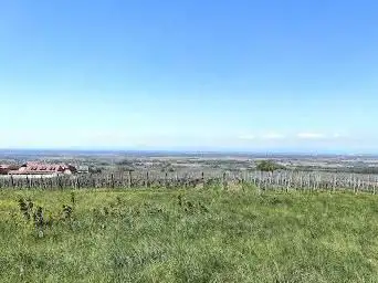 Point de vue sur la plaine d'Alsace