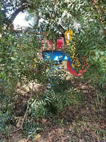 Il Parco Giochi di Porto Cervo