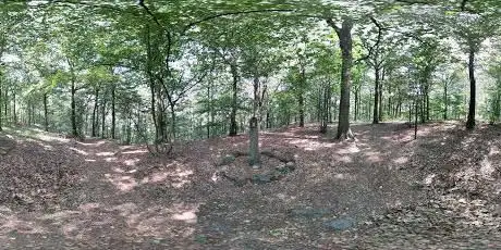 Bois de Profondeville