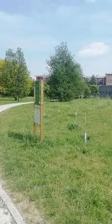 Bosco dei bimbi nati nel 2021