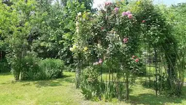 Terre de Vert