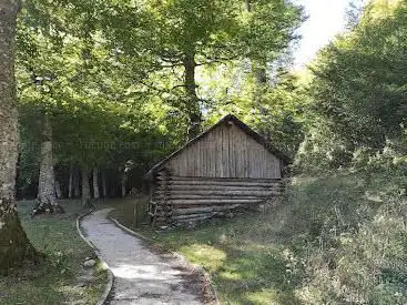 Photo de Forest cottage Linza
