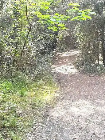 Photo de Forêt de La Baule Escoublac