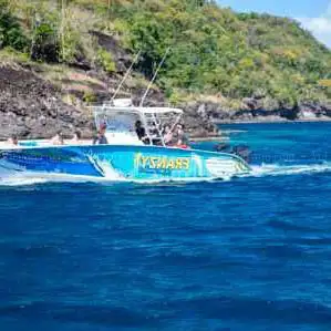 Photo de FRANZY EXCURSION - DAUPHIN MARTINIQUE