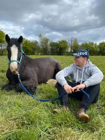 Photo de Crindle Stables