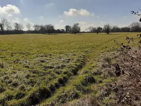 Photo de Winks Meadow Nature Reserve