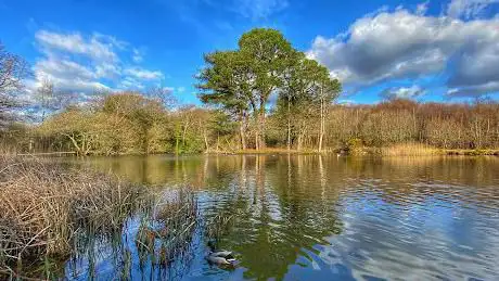 Photo de Ornamental Lake