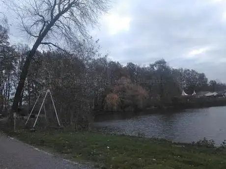 De Stille Reus Wereldboom