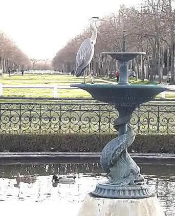Parc de Maisons-Laffitte