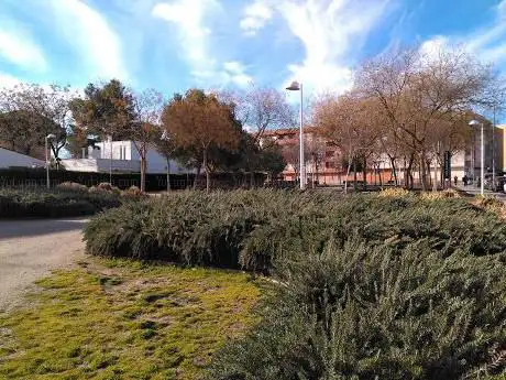 Photo de College Station Park