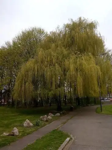 Photo de Square de Gladbeck