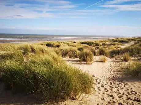 Steps to Dunes