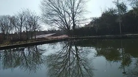 Photo de Lago Parque De La Mina