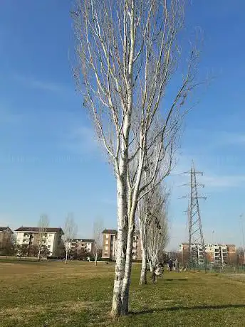 Photo de Parco Dronato