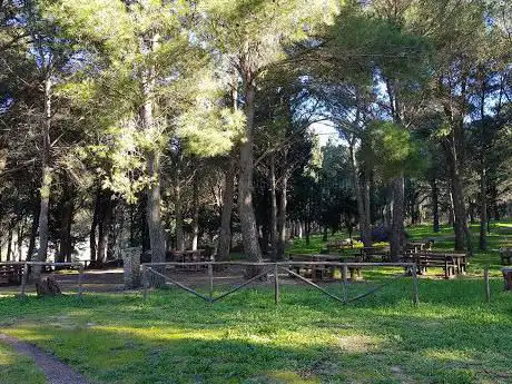 Photo de Area Attrezzata Bosco Baronia