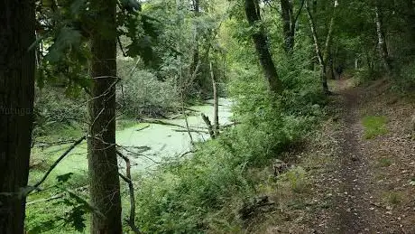 Le Canal de Bernistap - Le parc naturel des deux Ourthes