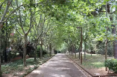 Photo de Jardà de Marie Curie