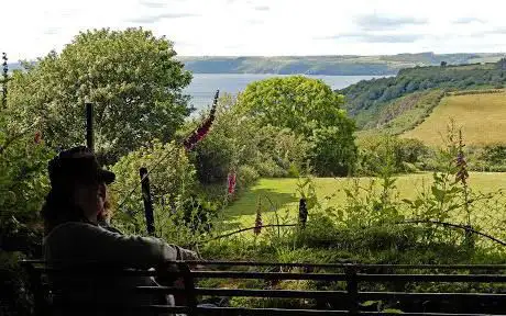 Allen's View