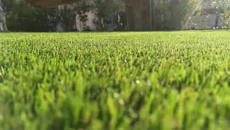 GOLFMISSION.EU