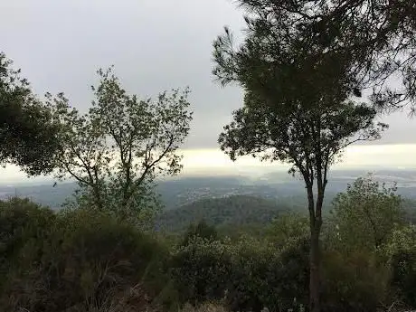 Mont Rodon