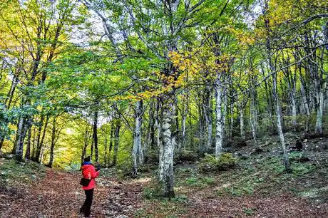 Photo de Rifugio Fonte di Bocca della Valle