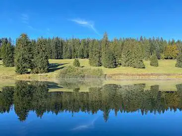Etang Plain-de-Saigne