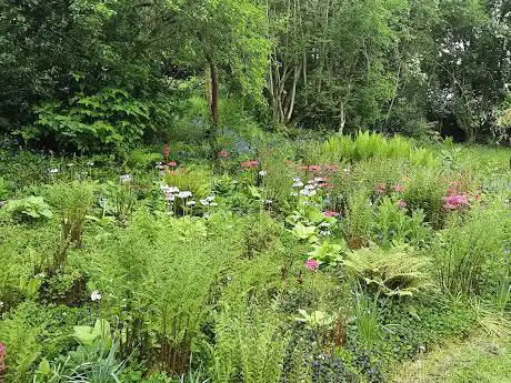 Photo de Moors Meadow Gardens