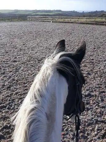Foundation First Equestrian Centre