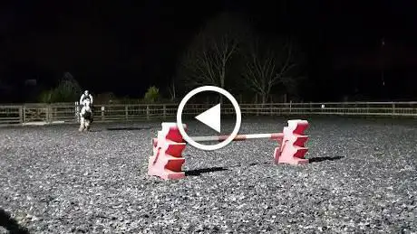 Photo de Park Farm Equestrian