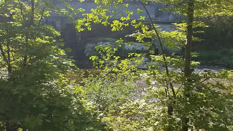 Photo de Grillplatz / Feuerstelle Königs-Wuhr