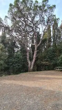 Photo de Incrocio con via delle Vallicelle