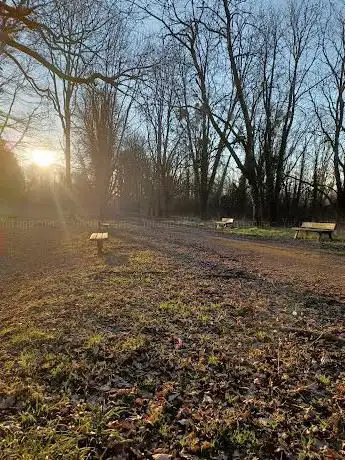 Forêt communale de Richemont