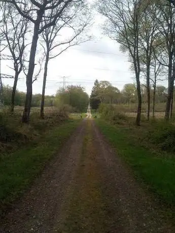 Photo de Forêt de Parcours de Santé