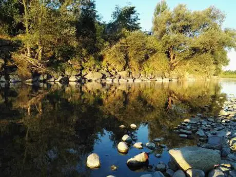 Parco Chico Mendes