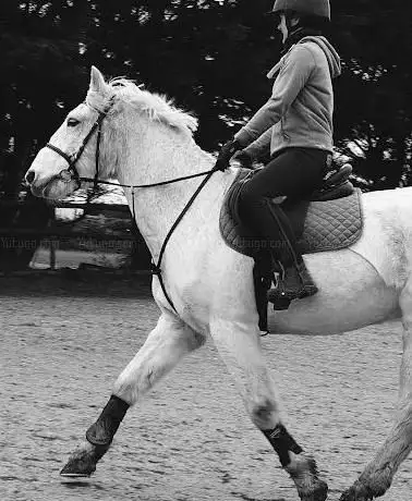Photo de Otterbourne Riding Centre